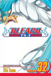 BLEACH Manga Volume 65