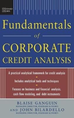 Standard Poors Fundamentals of Corporate Credit Analysis Epub-Ebook