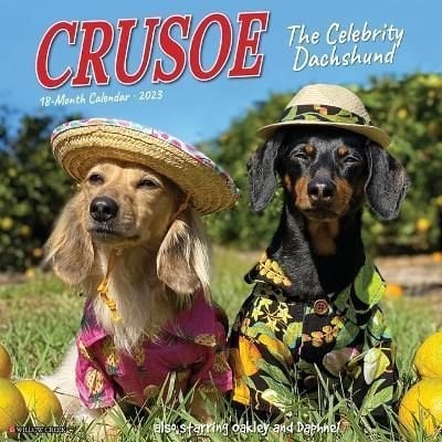 Crusoe weiner cheap dog