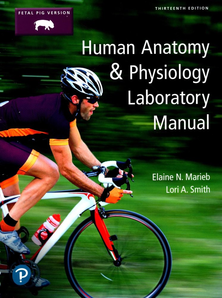 Buy Human Anatomy & Physiology Laboratory Manual, Fetal Pig Version By ...